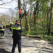 Grote tak breekt af Westeinde Noordwijkerhout